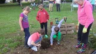 preview picture of video 'Children from Cogges planting a tree in Burwell Community Wildlife Garden in Witney'
