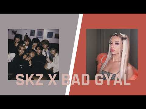 STRAY KIDS X BAD GYAL — CHARMER X ZORRA [MASHUP]