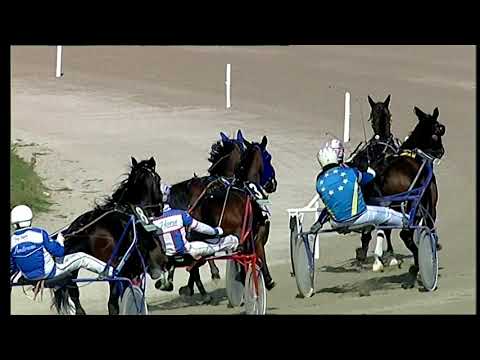 Napoli Trotto 28/02/2021 - 1ª corsa