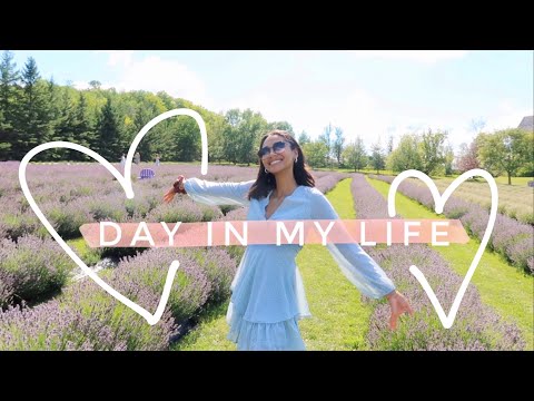 A DAY IN MY LIFE: LAVENDER FIELD, PICNIC & BLUE MOUNTAIN | Greta Onieogou