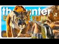 I Hunted EVERY CAT In The Game TheHunter Call Of The Wild