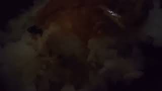 飯_139