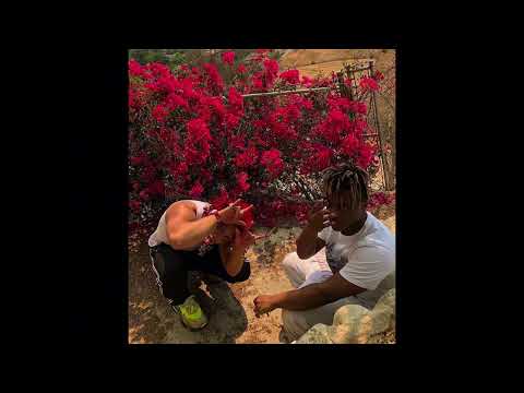 (FREE) Juice WRLD x Trippie Redd type beat „Lone“ | 2024