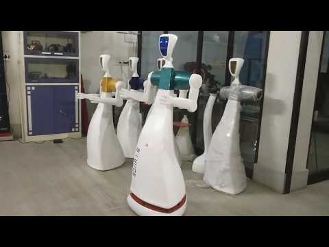 Intelligent Robot