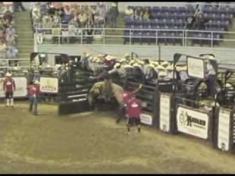 2010 CLASSIC BULL M604 JED CLAMPETT