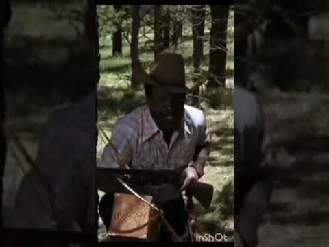 "He's been spending too much time with Clyde" Every which way but loose 1978, Clint Eastwood