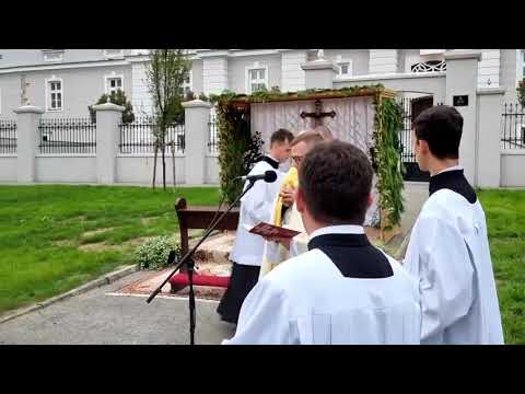 Tijelovska procesija u Požegi 16 6 2022