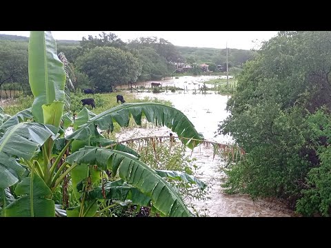 Muita chuva no sítio mandacaru salitre ceará 