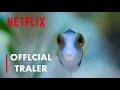 Puff: Wonders of the Reef | Official Trailer | Netflix Sri Lanka