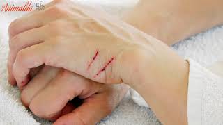 How to Train your Cat Not to Scratch You