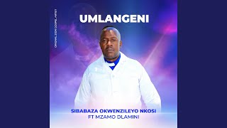 Download lagu Sibabaza Okwenzileyo Nkosi mp3