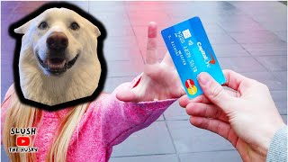 I GAVE MY HUSKY MY CREDIT CARD FOR 1 HOUR! 😱