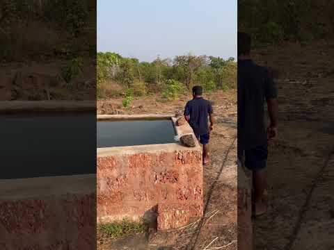 या वर्षातली पहिली काजूची भाजी 😋 #kokan #marathimulga #devgad #virelvideo