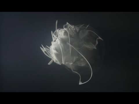 Singularity by Solveig Settemsdal (clip from full video)