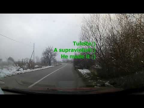 Aiud-Coltesti (Fazanul a supravietuit); Nagyenyed-Torocko Szentgyorgy (A facan tulelte);