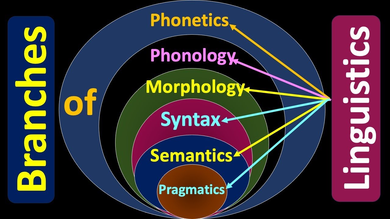 Branches of Linguistics; Phonetics; Phonology; Morphology; Syntax;Semantics;Pragmatics #linguistics