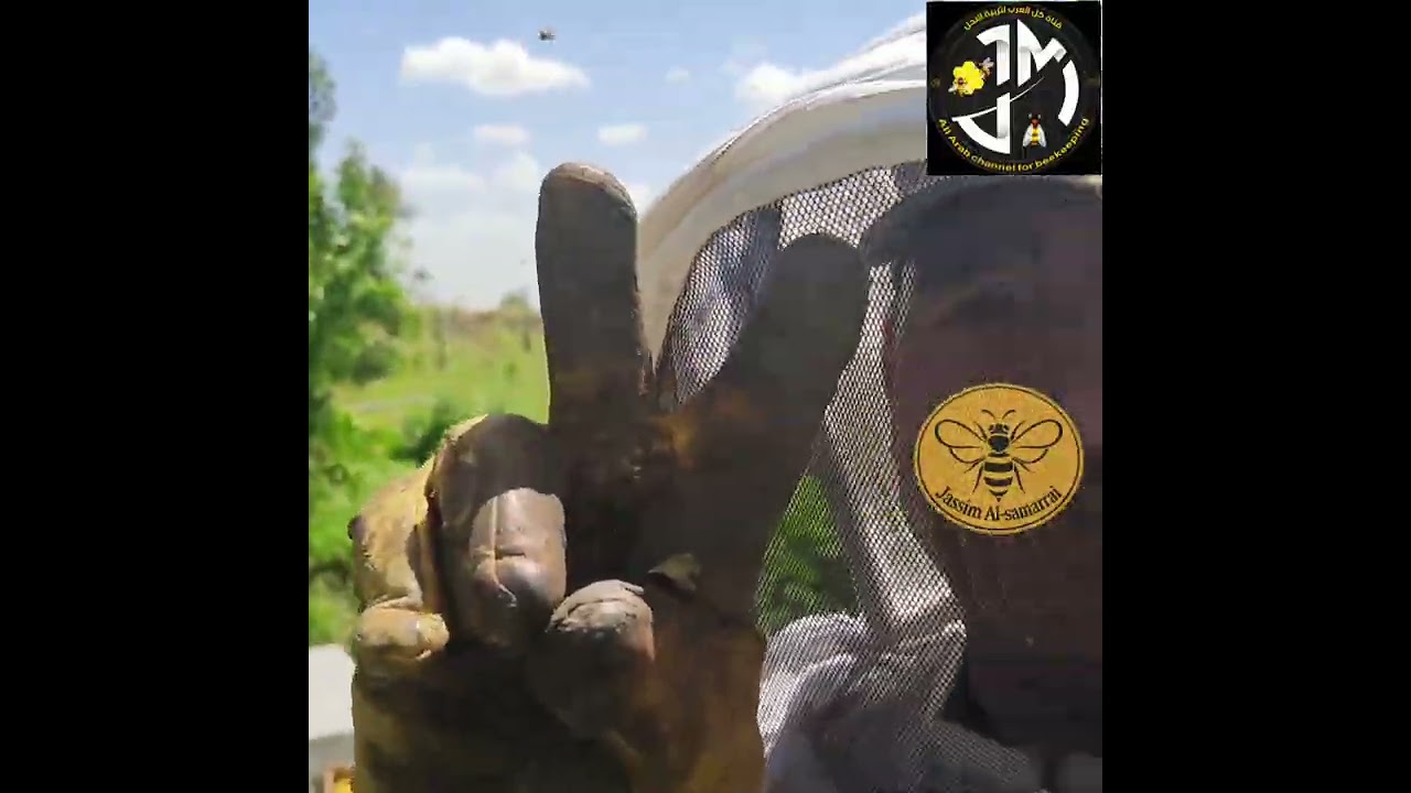 معجزة يصنعها النحل سبحان الله 
