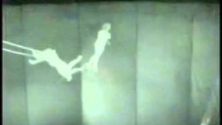 Peggy Sue: Cut My Teeth