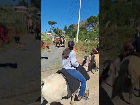 Cavalgada   em água  amarela  do meio Antônio Olinto PR