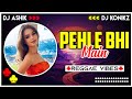 Pehle Bhi Main Reggae Vibes | Animal | DJ Ashik X DJ KoNiKz | Vxd Produxtionz