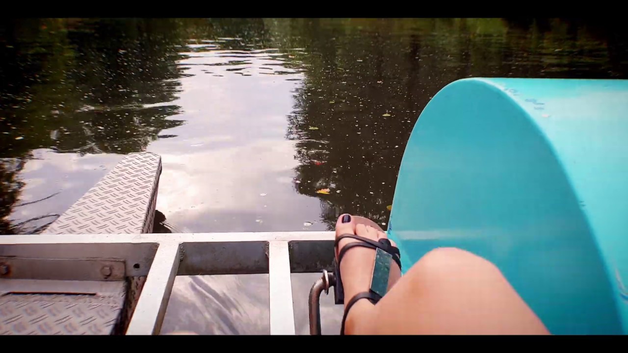 Discover the captivating highlights of Amsterdamse Bos.