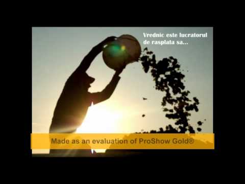 Diana Baciu - Lumina lumii