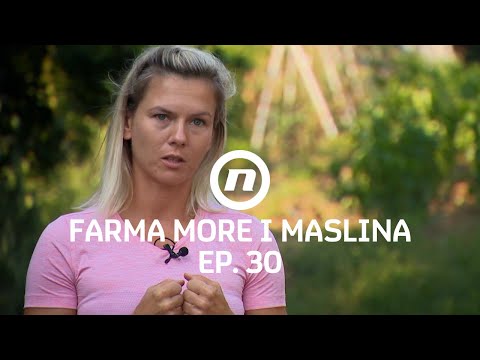 Dorina taktika - Epizoda 30 | Farma More i Maslina