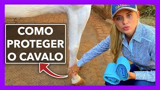 Será que você USA BEM AS LIGAS no CAVALO 