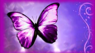 Colors by Kira Willey