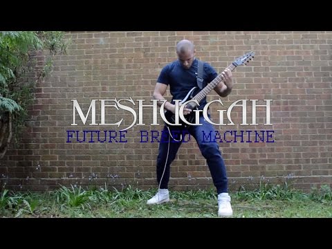 Future Breed Machine - Meshuggah (Instrumental Cover)