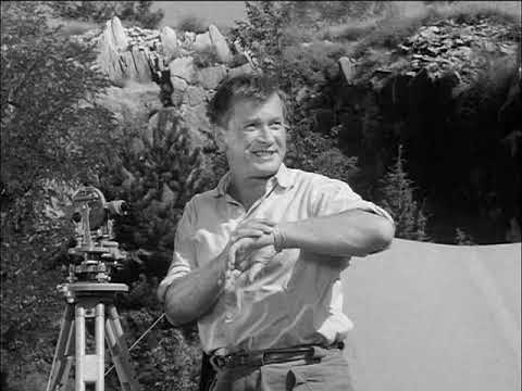 Ferien in Lipizza - Hausarrest für Othello