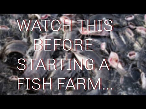 , title : 'Things To Know Before Starting A Fish Farming Business | How to Start a Fish Farming Business'