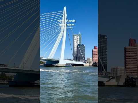 #netherlands #rotterdam #rotterdamcity #netherland #boat #boattour #travel #fyp #foryou #summer