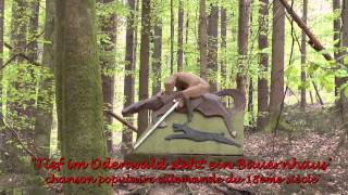 preview picture of video 'Die romantische Obrunnschlucht'