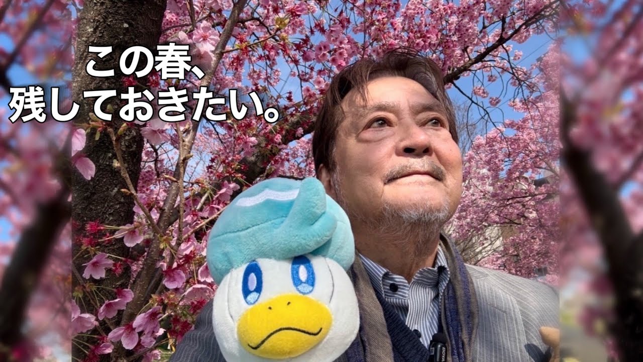 【春の記録】桜の下で過ごした、静かな時間。