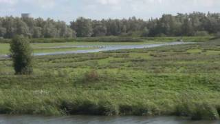 preview picture of video 'Rondje Biesbosch'