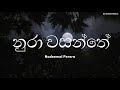Nura Wasanthe නුරා වසන්තේ Lyrics Nadeemal Perera