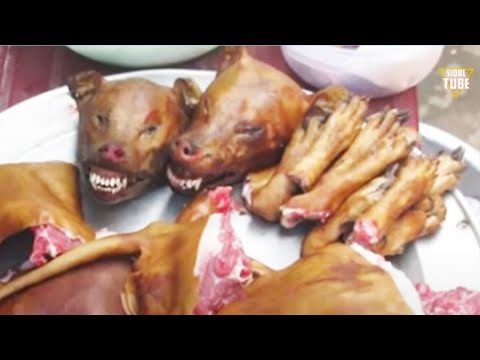 Merangsang obat untuk ulasan laki-laki Bagaimana untuk benar-benar meningkatkan potensi