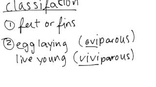 Vertebrate Classification