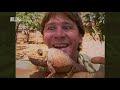 The Crocodile Hunter Best Of Steve Irwin S01 E04
