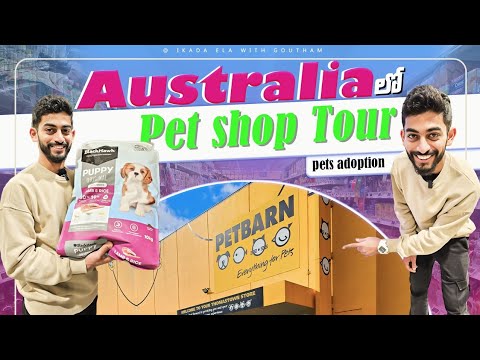 Pet Shop Tour in Australia | Explore pet shop