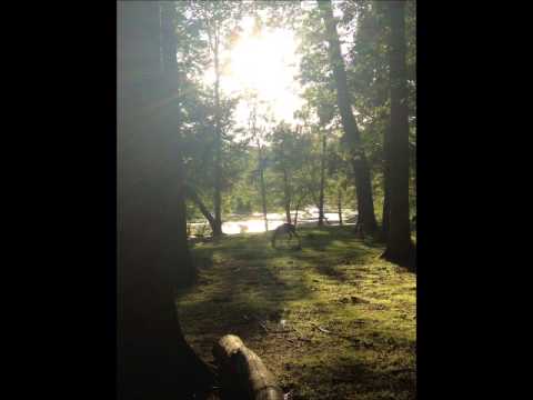 Mit danmark, mit liv - June.