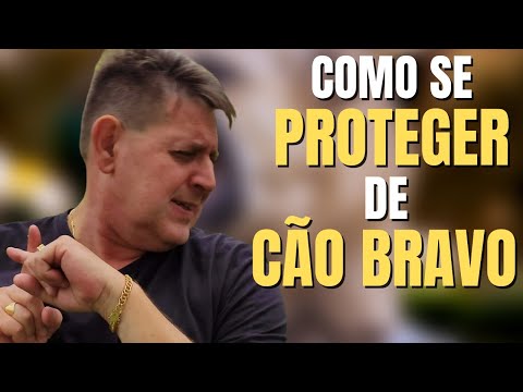 PTD nº 633 - Como me proteger espiritualmente de cachorro bravo?