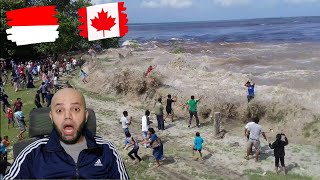 Download lagu Ombak Bono 29 Desember 2019 Reaction | Indonesia Reaction | MR Halal Reacts mp3