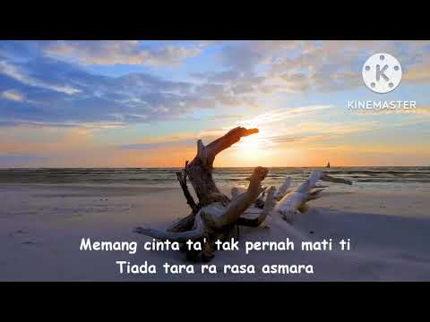 Farid Hardja - Romantika Diamor ( lirik )