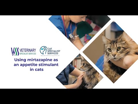 Using mirtazapine as an appetite stimulant in cats