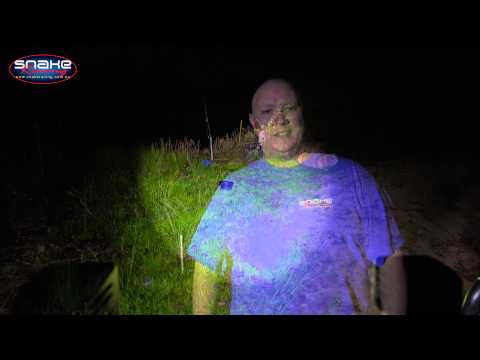 Rigid industries Dually LED vs Ebay China Copy - Snake Racing