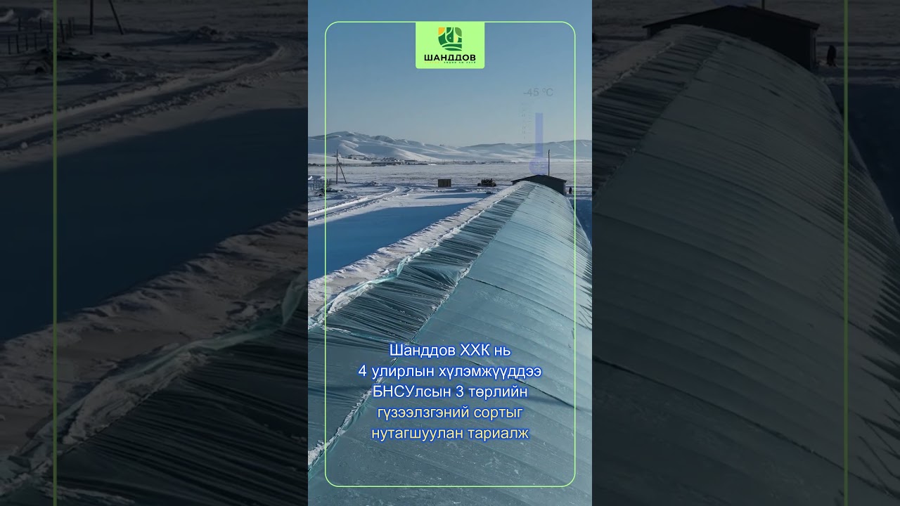 ШАНДДОВ ХХК-ийн гүзээлзгэнэ