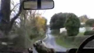 THE FALL ~ Weather Report 2