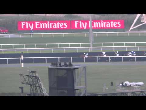 Dubai World Cup 2014 March 29